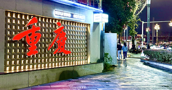 国内net域名信息查询官网