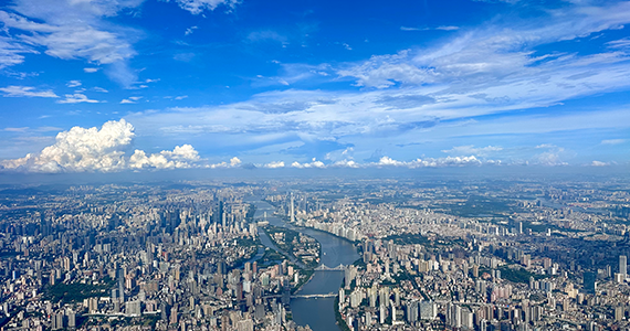 英文net域名查询