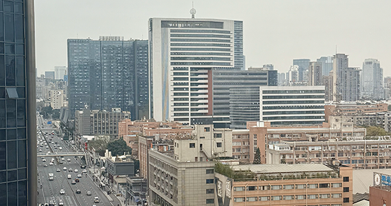 佛山net域名查询