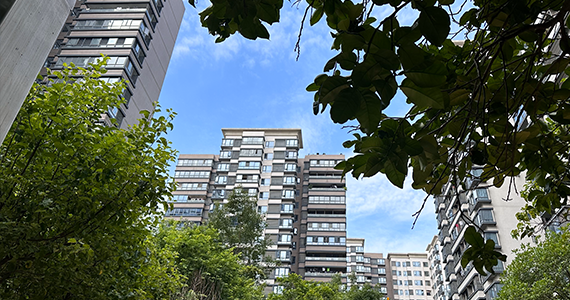 大连net域名信息查询官网入口