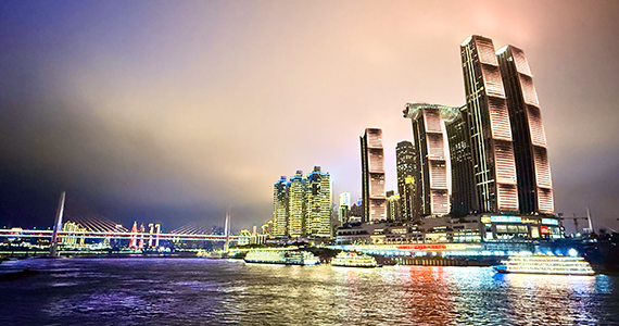 宁波net域名查询