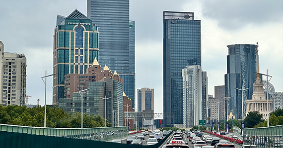 net英语域名查询