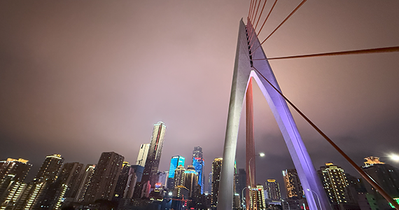 net 域名查询：深入理解域名注册与管理