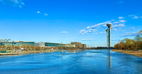 佛山net域名信息查询官网网址