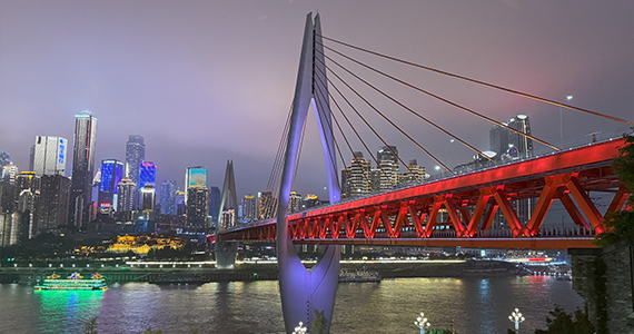 net域名查询系统